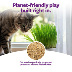 SmartyKat-germe-herbe-chat-en-croissance, pousse rapide et snack naturel.