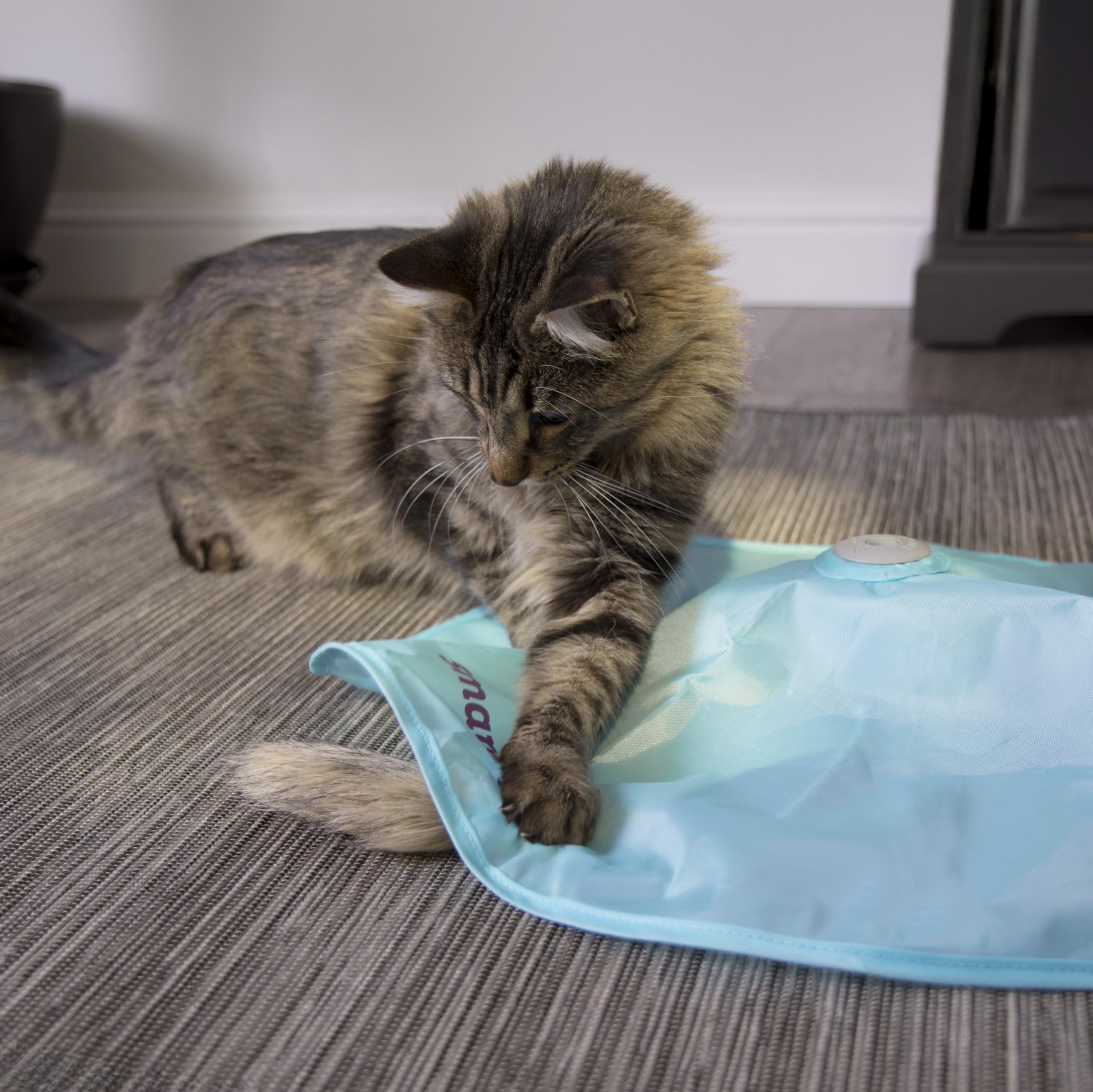 SmartyKat Hot Pursuit, emballage recyclable respectueux de l’environnement.