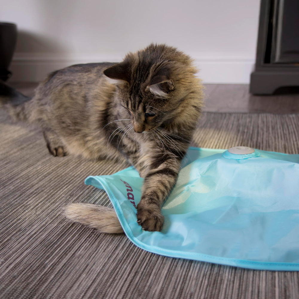 SmartyKat Hot Pursuit, emballage recyclable respectueux de l’environnement.