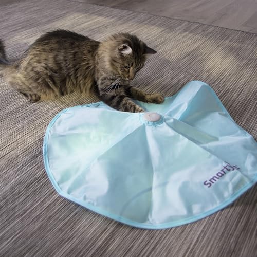 SmartyKat Hot Pursuit, exercice stimulant pour chats et chatons actifs.