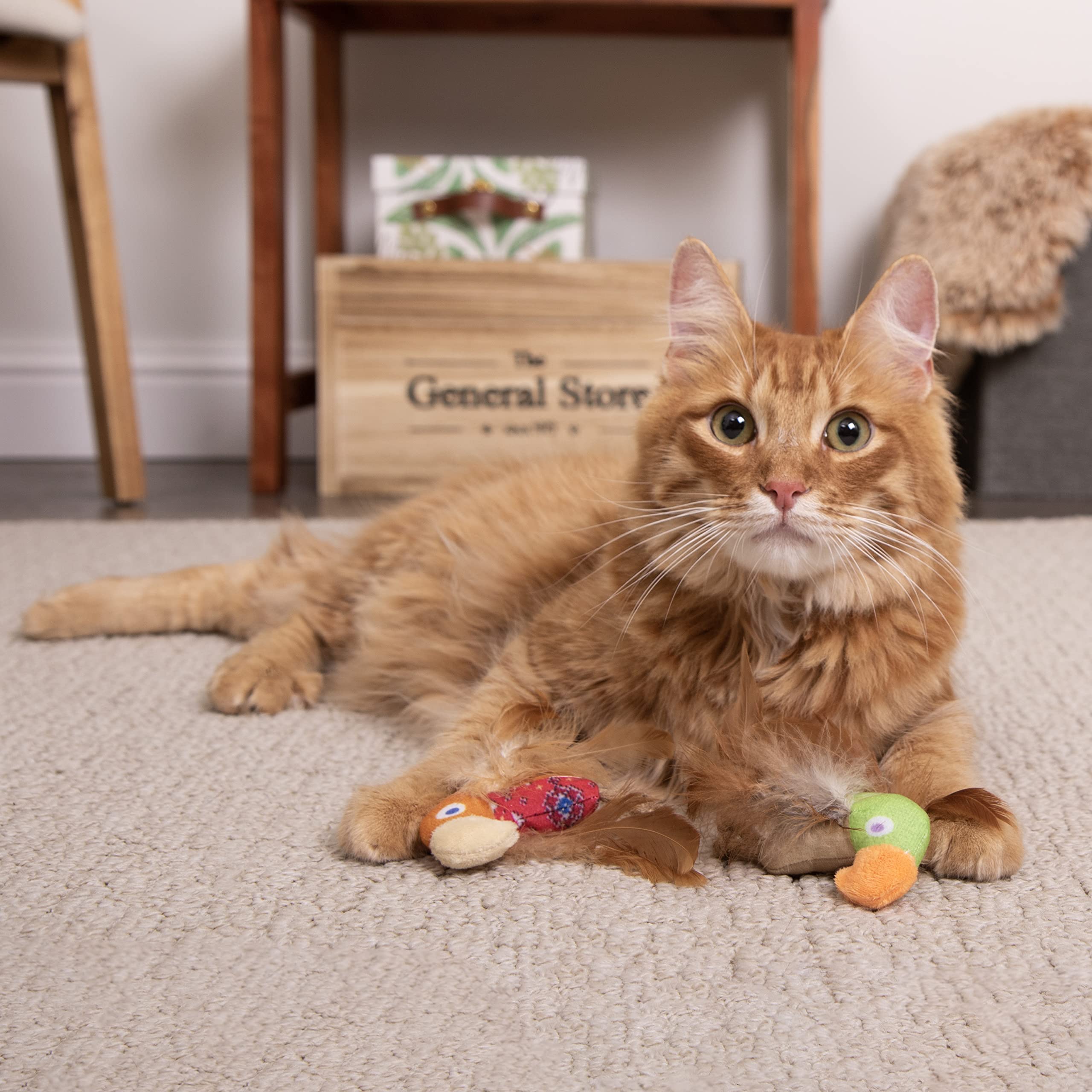 SmartyKat Instincts Love Mates: pattes en jute nouées pour action interactive.