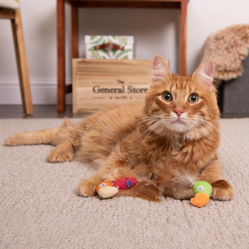 SmartyKat Instincts Love Mates: pattes en jute nouées pour action interactive.