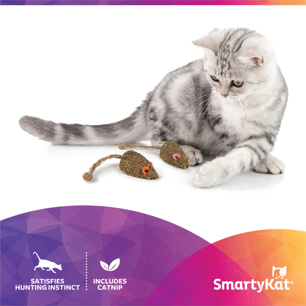 HappyNip attire le chat et favorise le jeu