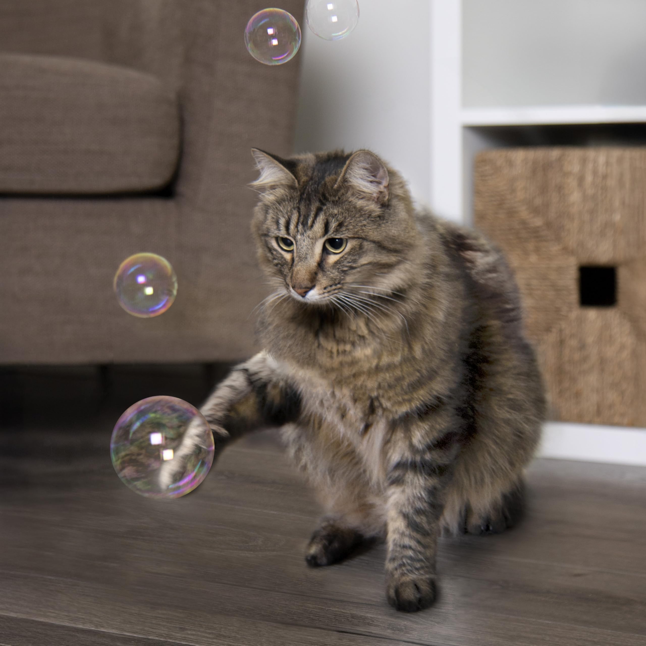 Moment de jeu partagé avec SmartyKat Bubble Nip.