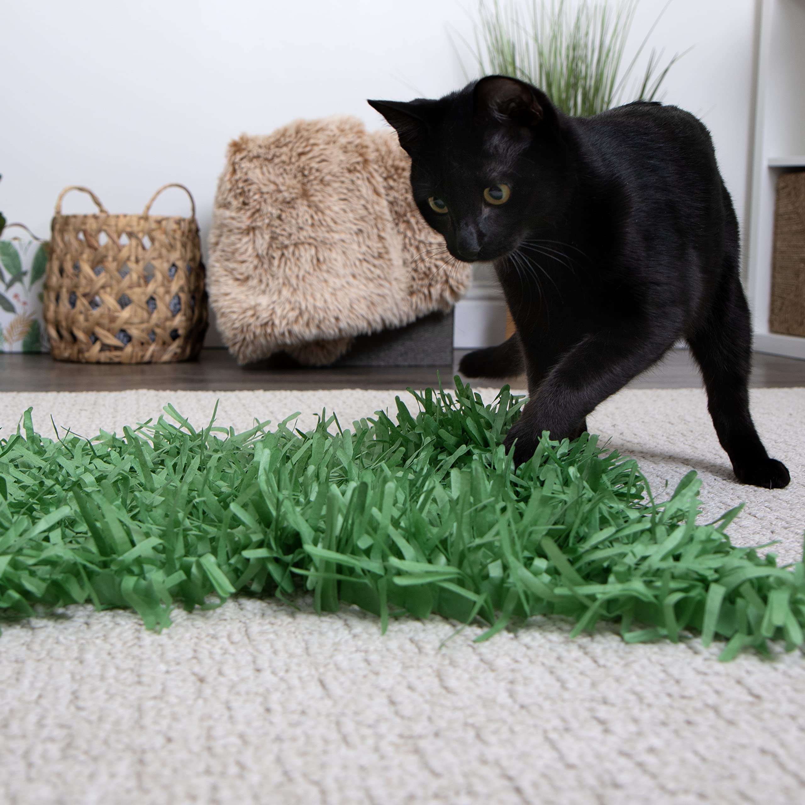 SmartyKat Meadow Mayhem: chat détendu sur tapis herbe papier vert, espace de détente