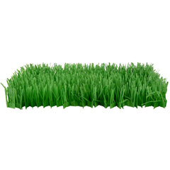 SmartyKat Meadow Mayhem: tapis herbe en papier qui crisse pour stimuler l’exploration du chat