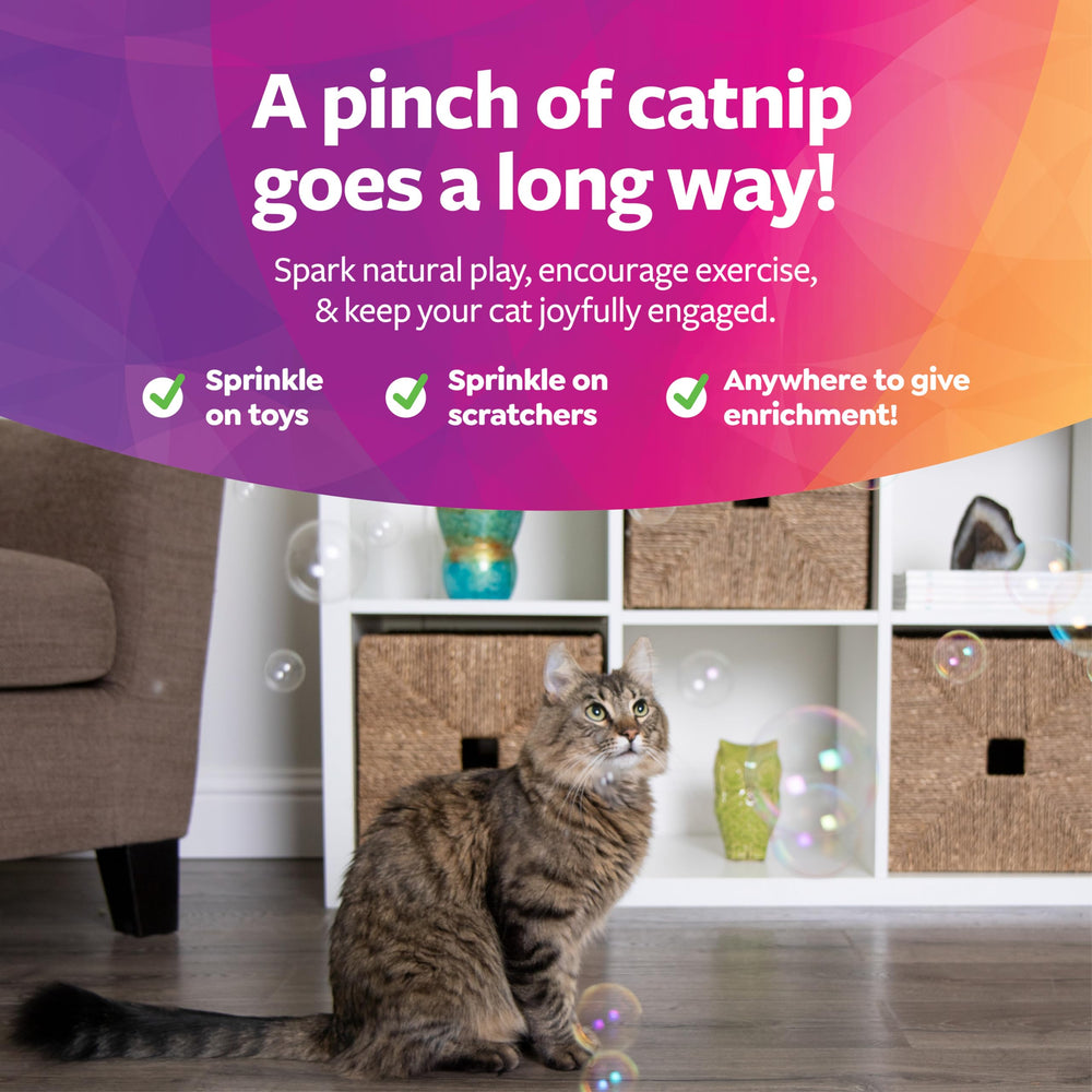 Infusion d’herbe à chat Bubble Nip pour stimulation naturelle.