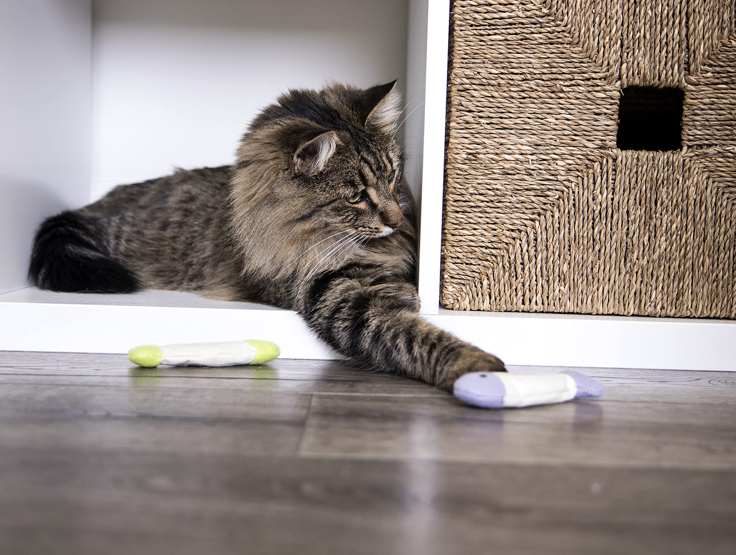 Ensemble de 9 jouets poisson-flcrissant avec herbe-à-chat pour chats.