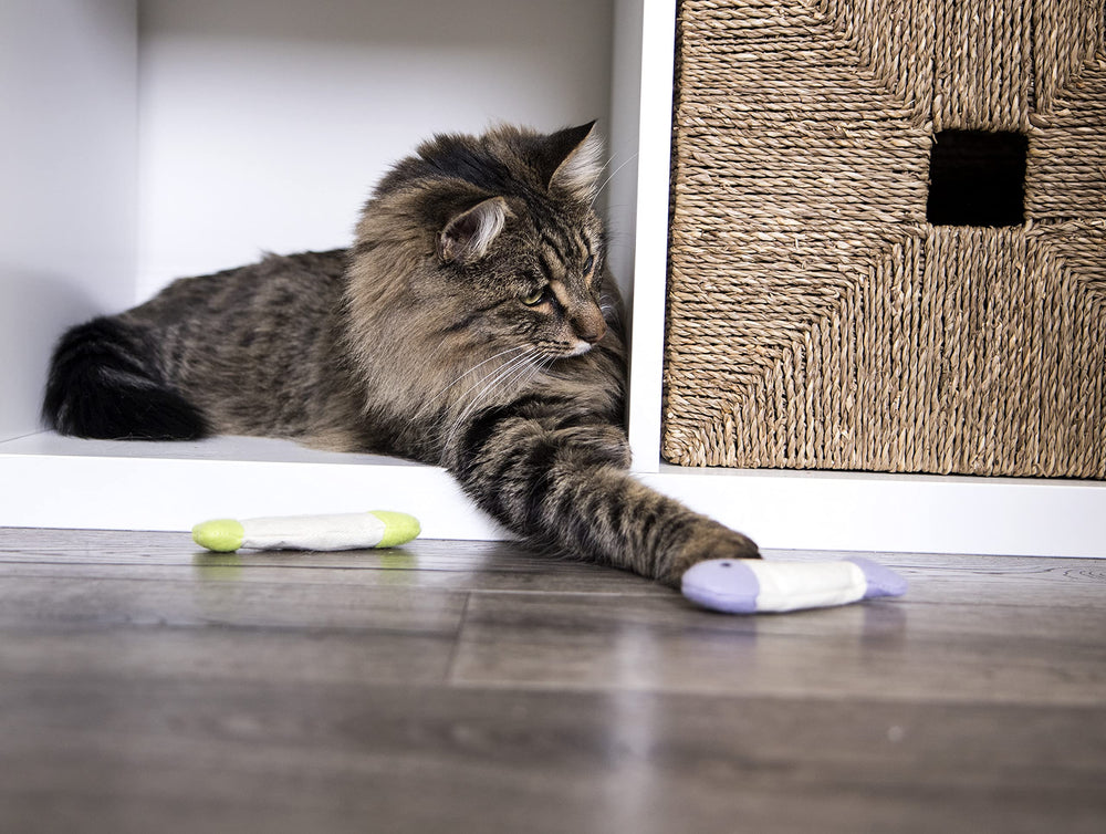 Ensemble de 9 jouets poisson-flcrissant avec herbe-à-chat pour chats.