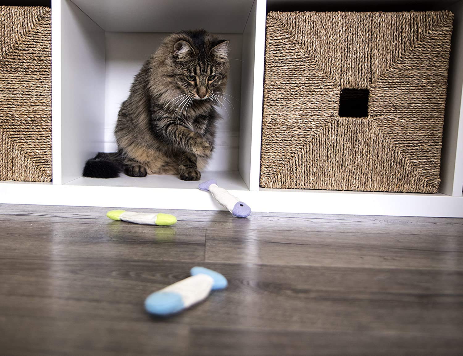Jouet multicolore SmartyKat poisson-flcrissant, parfait pour chasse et exploration.