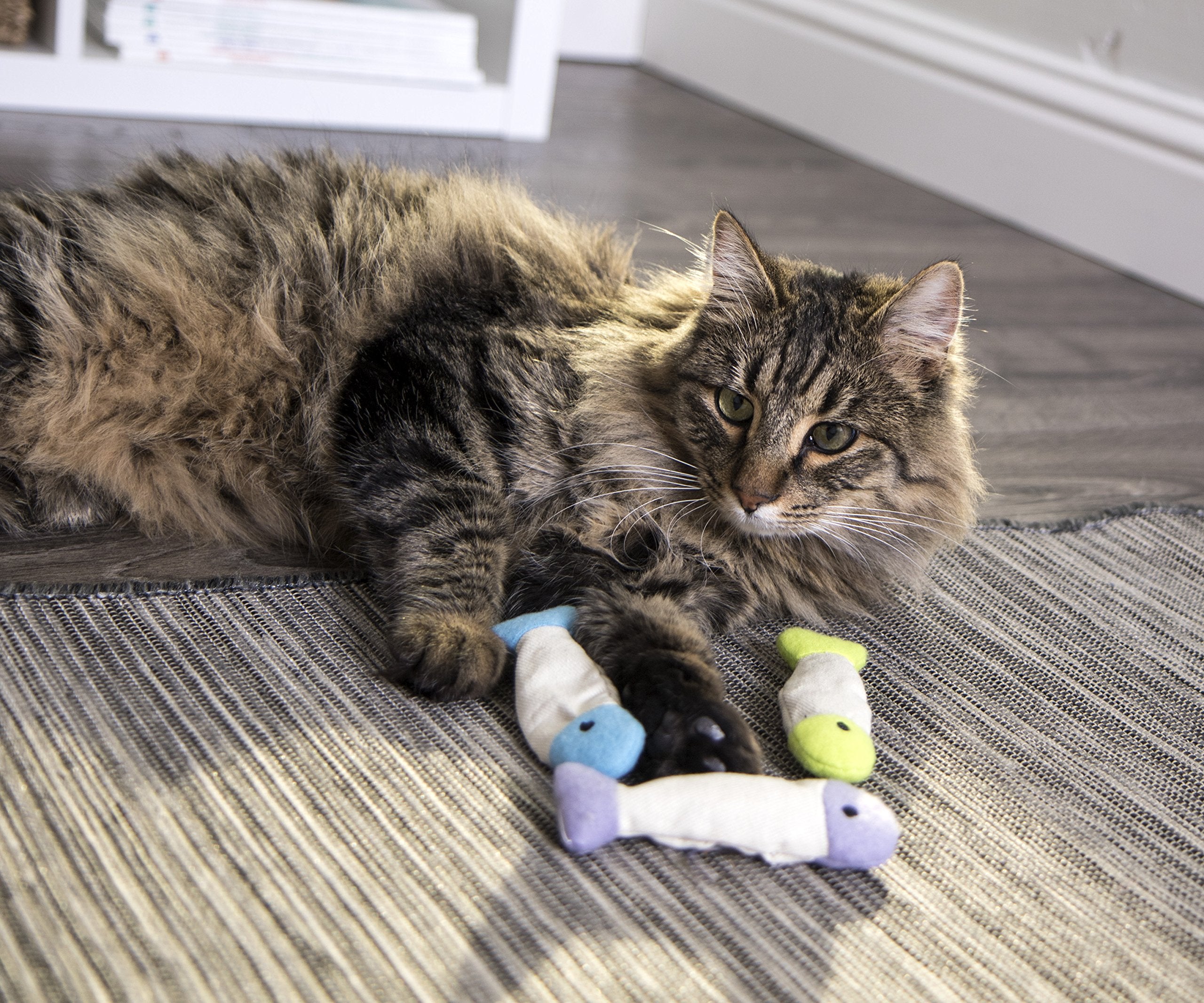 SmartyKat poisson-flop-crinkle-chat-jouet arc-en-ciel: couleur attrayante et curiosité accrue