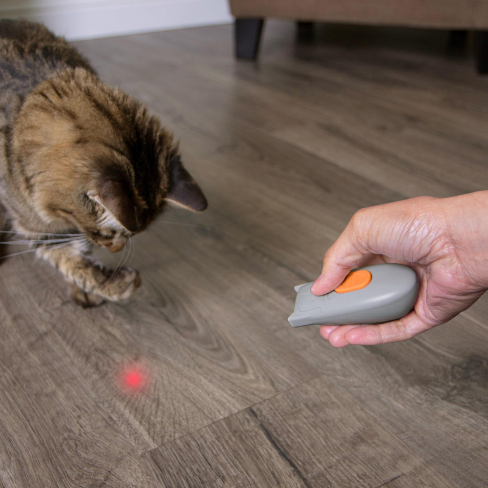 SmartyKat Race N' Chase favorise l'interaction et le lien avec le propriétaire