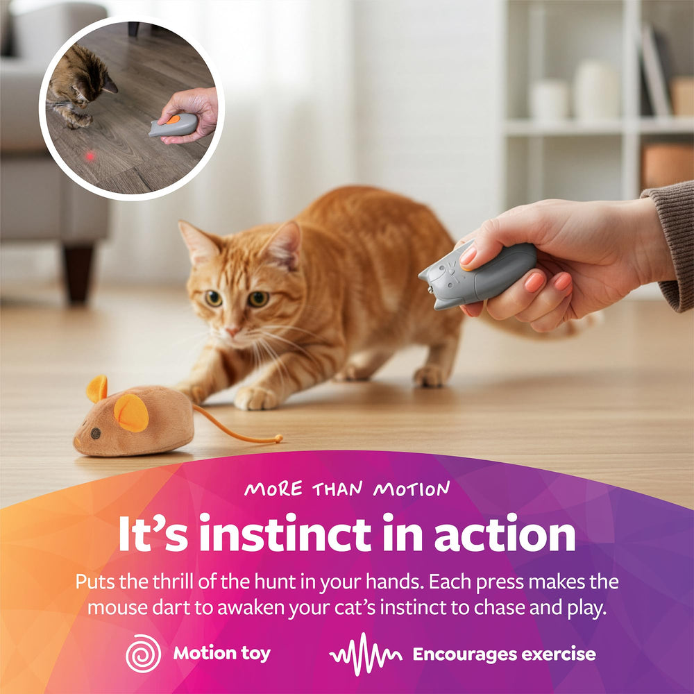 SmartyKat Race N' Chase peluche douce au toucher réconfortant pendant le jeu