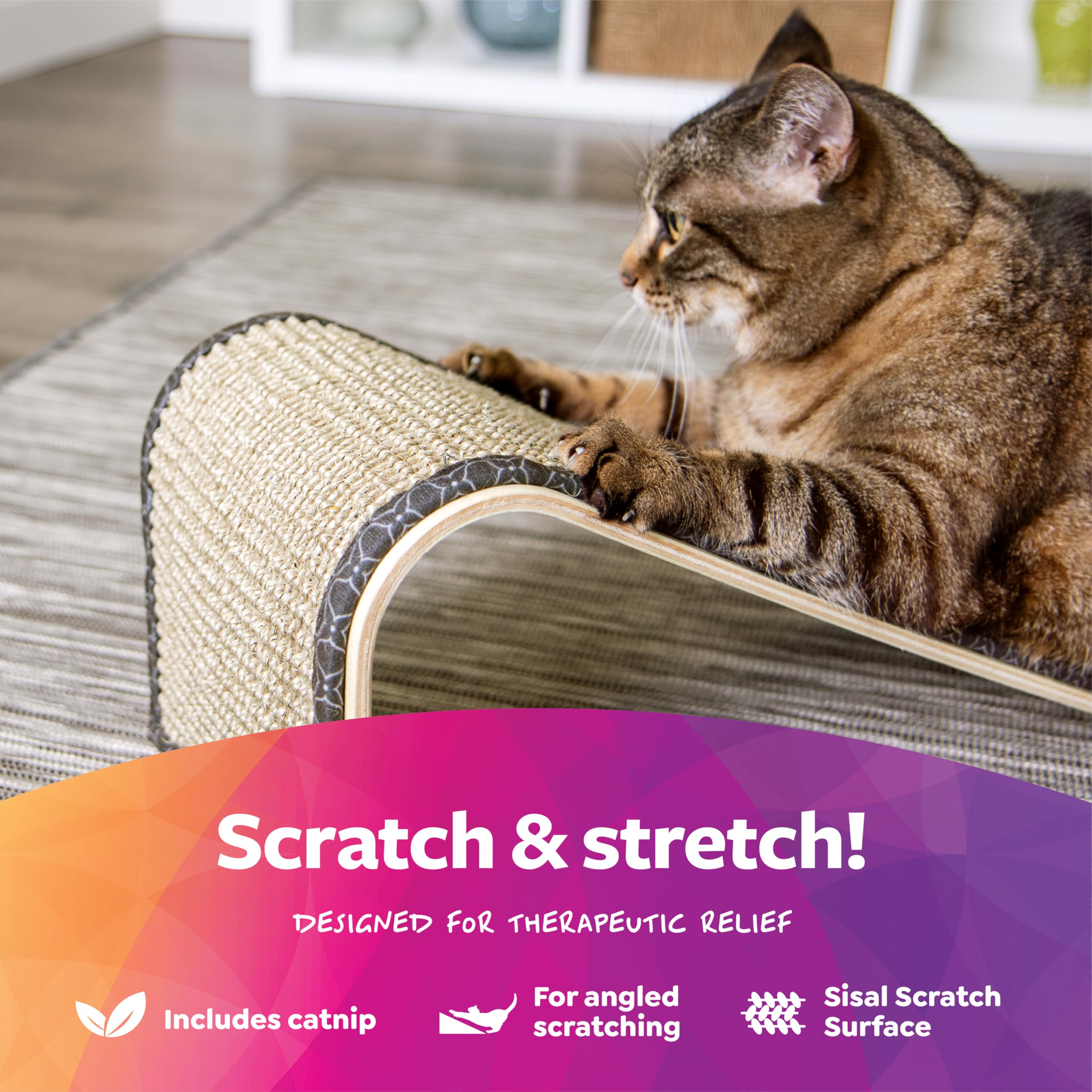 Catnip biologique sans produits chimiques — attire le chat et prolonge les sessions.
