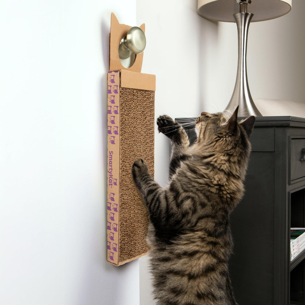 Stimulation et exercice pour chats grâce à la cataire infusée.