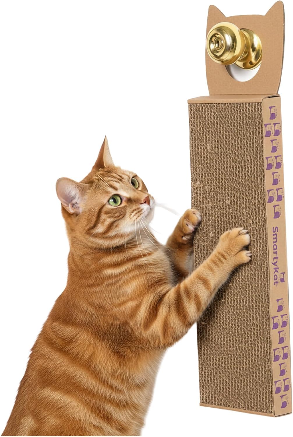 SmartyKat Scratch Up suspendu sur une porte, surface corrugée idéale pour stimuler le griffage.