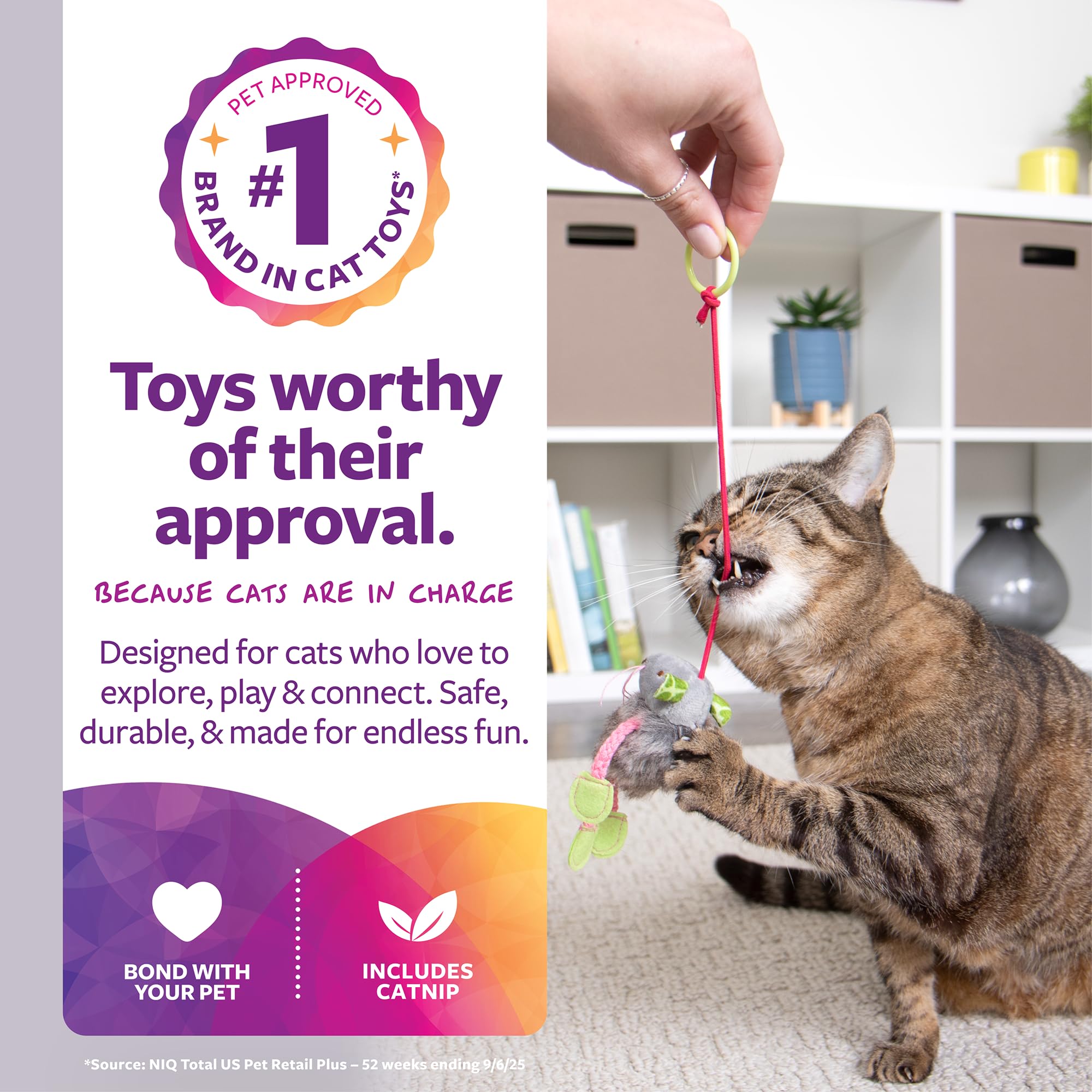 SmartyKat jouet chat peluche multicolore pour jeu interactif