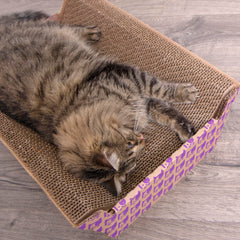Texture écorce sur Chaise Corrugée, stimule instinct de griffage des chats