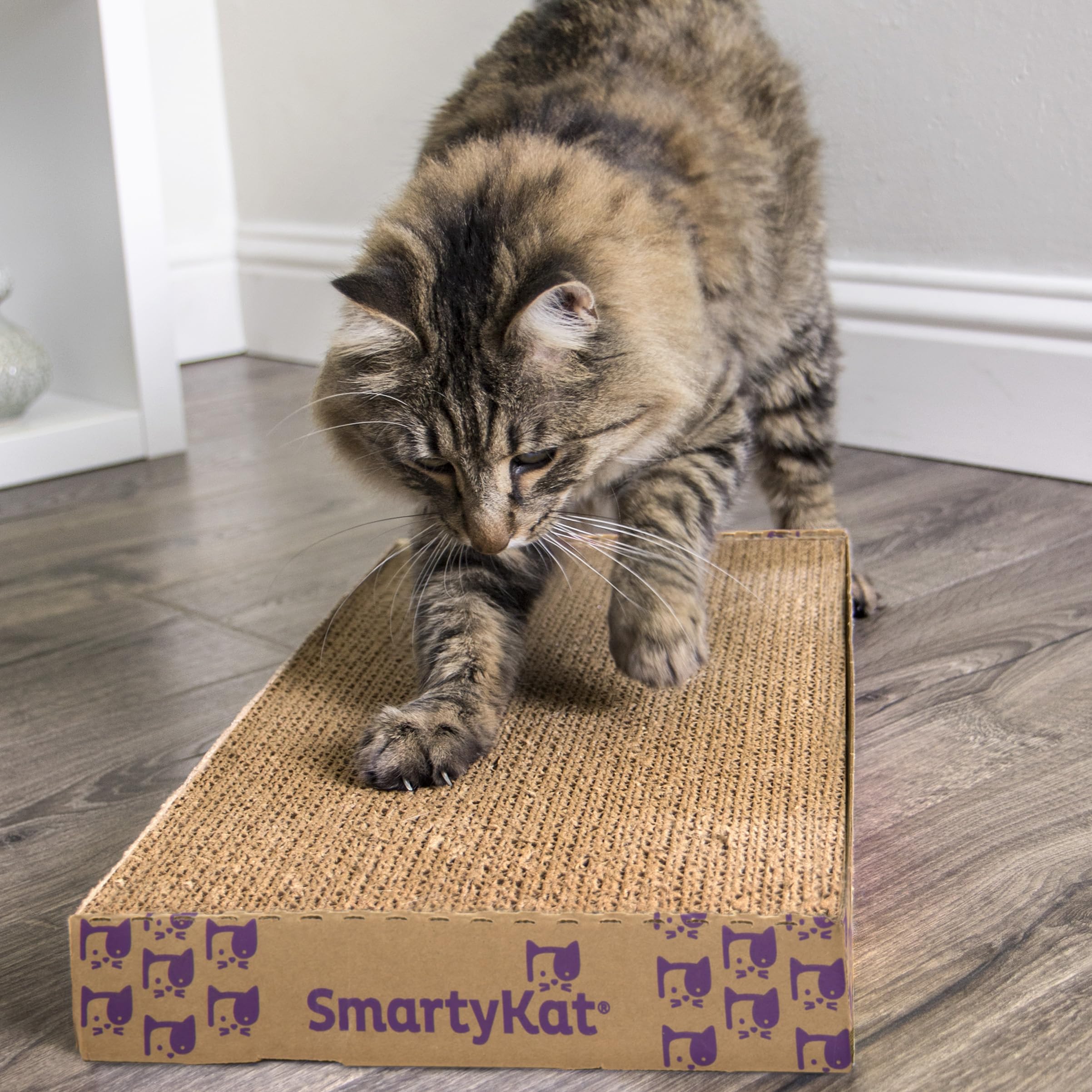 SmartyKat Super Scratcher Plus – infusion de cataire entre les couches pour le jeu.