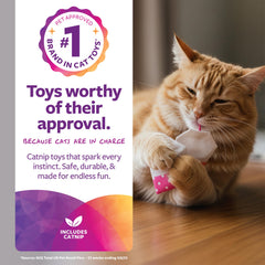 Jouet SmartyKat Tea Teazers rose avec herbe-chat stimulant l’énergie ludique.