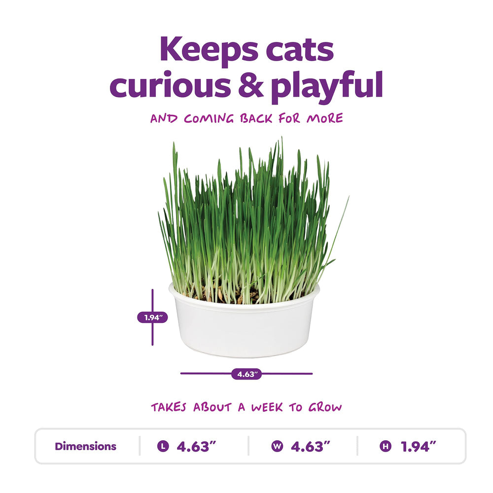 SmartyKat-terreau-substrat-chat, sol prêt à faire germer l’herbe fraîche.