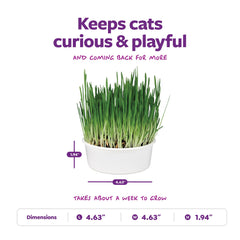 SmartyKat-terreau-substrat-chat, sol prêt à faire germer l’herbe fraîche.