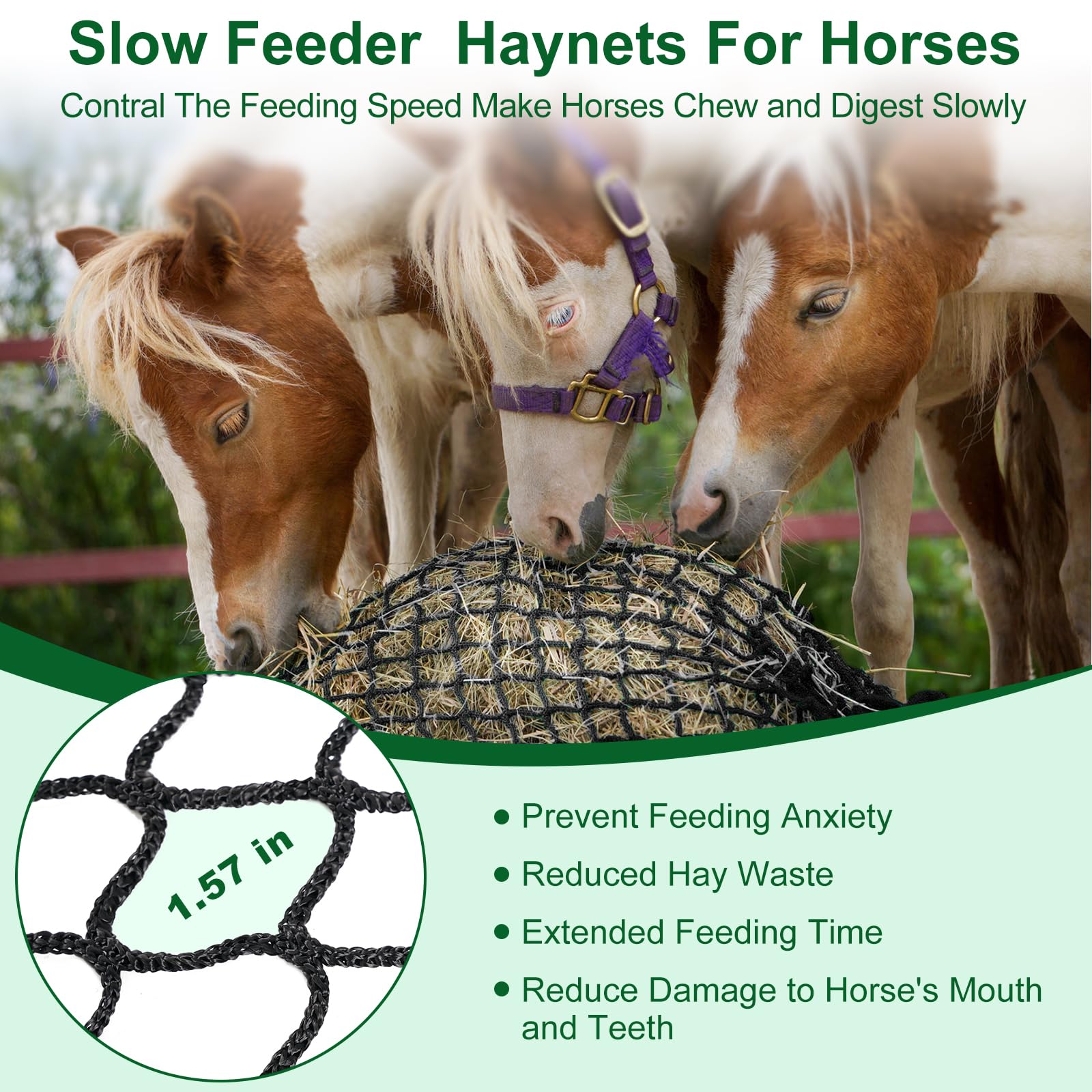 SmaSoHard solution bien-être chevaux, net pour gestion efficace du foin.