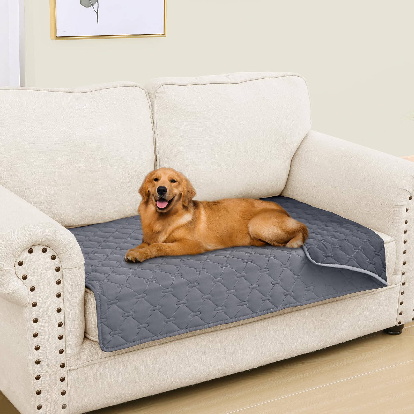 Couverture Smiry imperméable pour chiot sur canapé protégeant les meubles des liquides