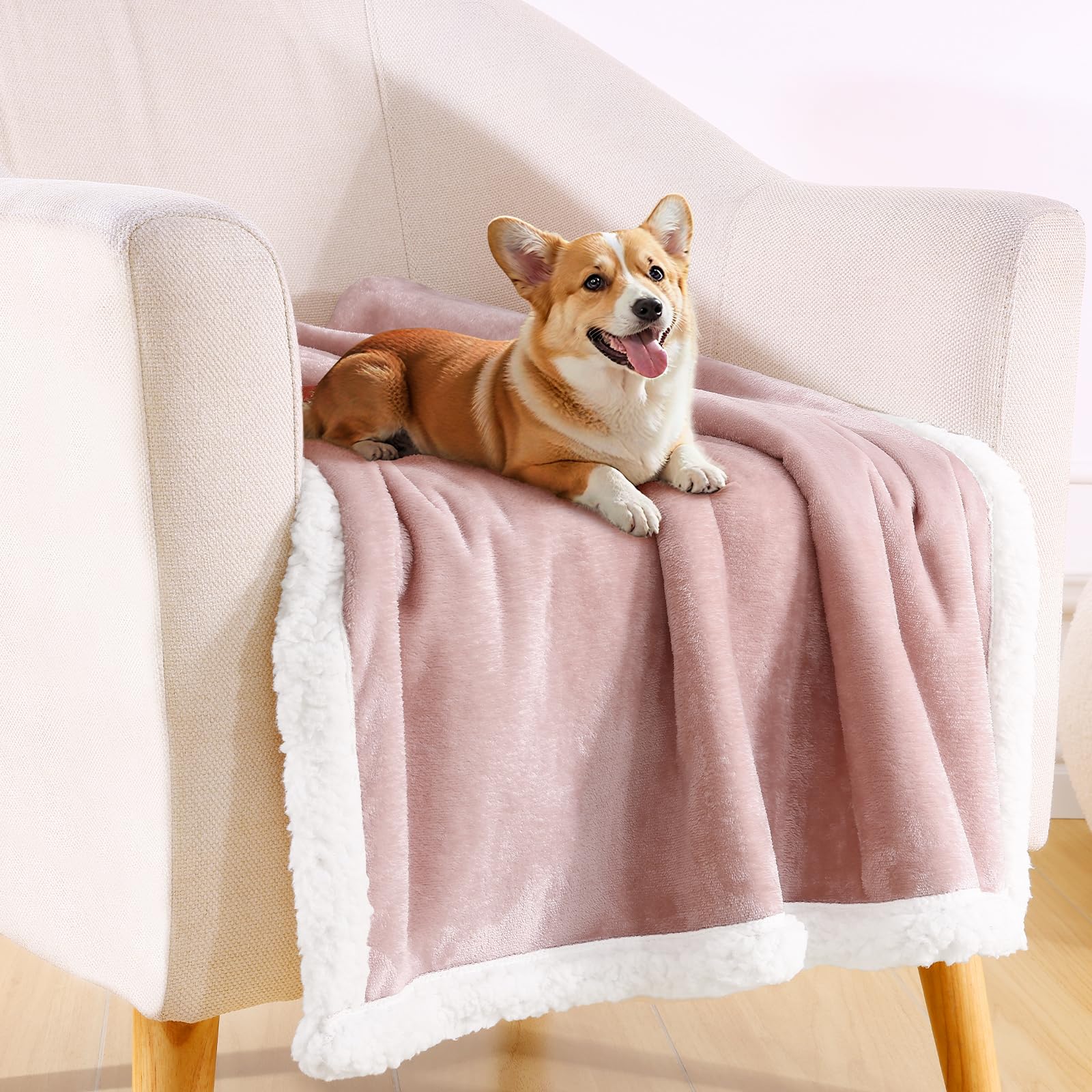 Convient aux grands chiens Smiry douceur et résistance