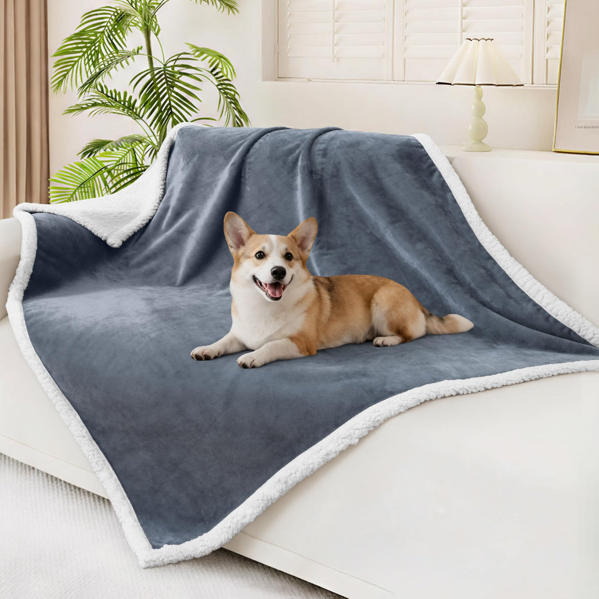 Couverture Smiry imperméable pour chien grand protège les canapés des liquides.