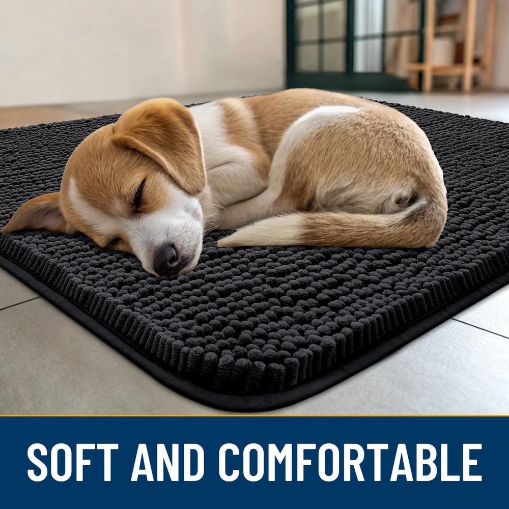 Paillasson Smiry, absorption efficace sous les pattes mouillées.