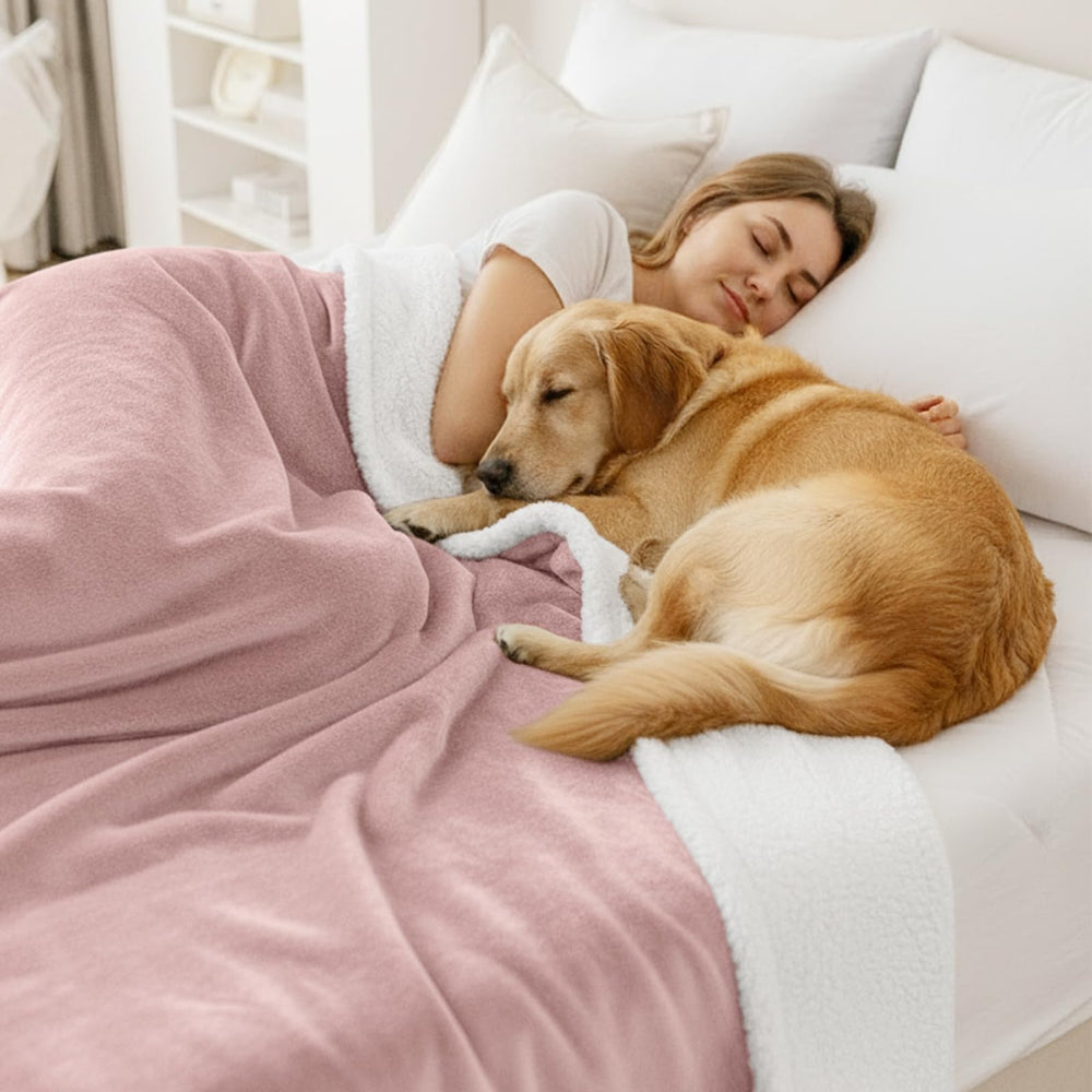 Tailles variées Smiry adaptées canapé et lit pour chien