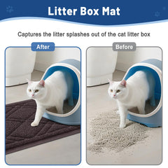 Confort Doux pour les pattes du chat sur le tapis Smiry.