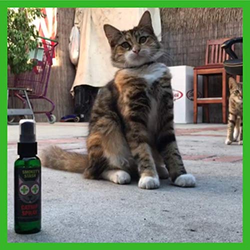 Smokey's Stash pratique pour guider les griffes et les zones.