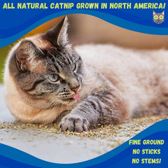 Smokey's Stash herbe à chat poudre moulue – texture fine prête à saupoudrer
