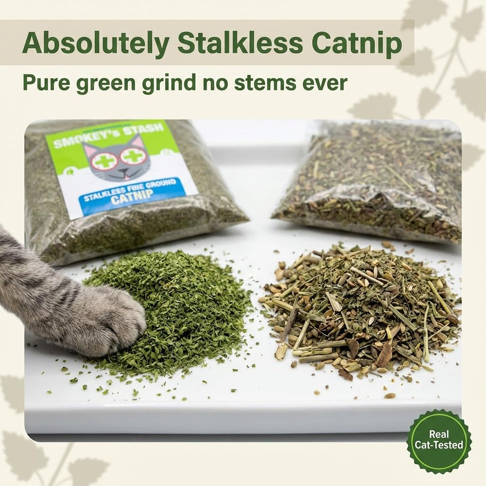 Smokey's Stash poudre concentrée, arôme attractif pour les sessions de jeu sur chat.