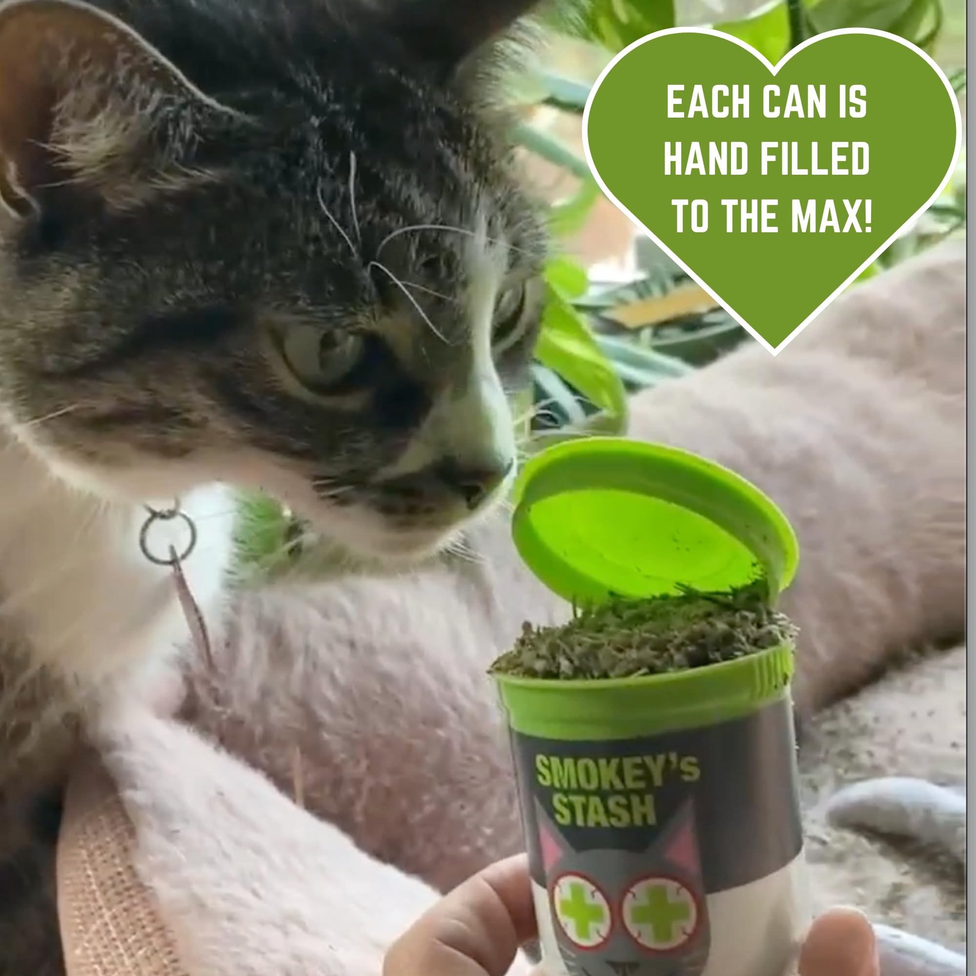 Smokey's Stash jouet chat rafraîchi grâce au catnip.