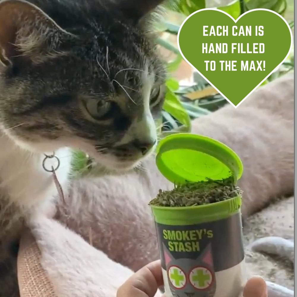 Smokey's Stash jouet chat rafraîchi grâce au catnip.