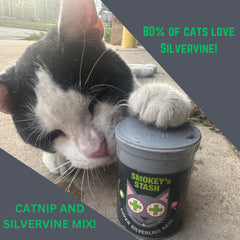 Smokey's Stash Silvervine Haze – feuilles d'herbe à chat biologique pour stimulation naturelle.