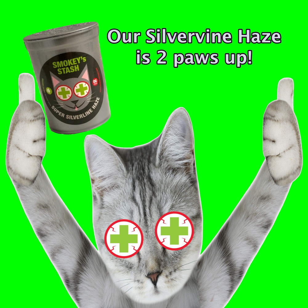 Smokey's Stash Silvervine Haze – jouet et griffoir optimisés pour l’exercice.