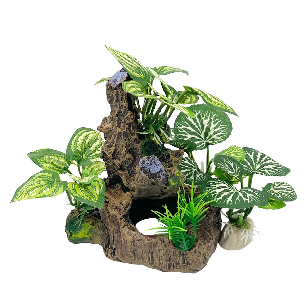 Autres décorations Smoothedo-Pets disponibles, plantes artificielles et roches.