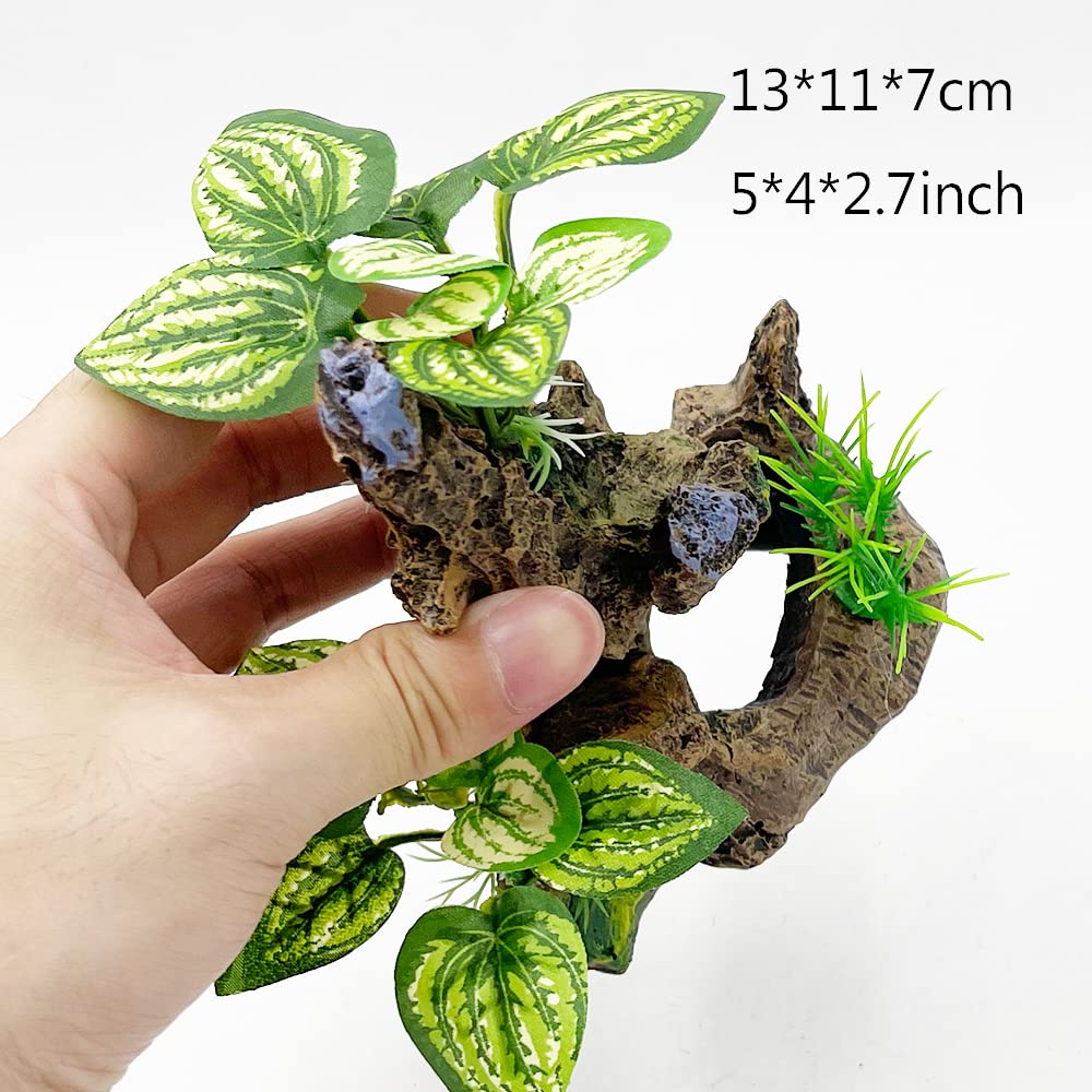 Détails matériels Smoothedo-Pets, caverne Betta, surface stable et non toxique.