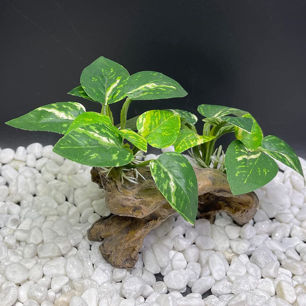 Smoothedo-Pets bol-poisson-rouge-accessoires dans l'aquarium, pratique et décoratif