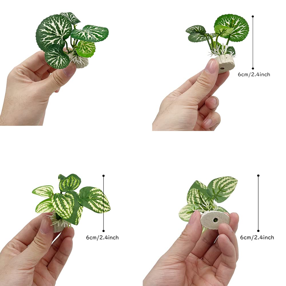 Smoothedo-Pets feuilles variées: décor changeant et attrait visuel.