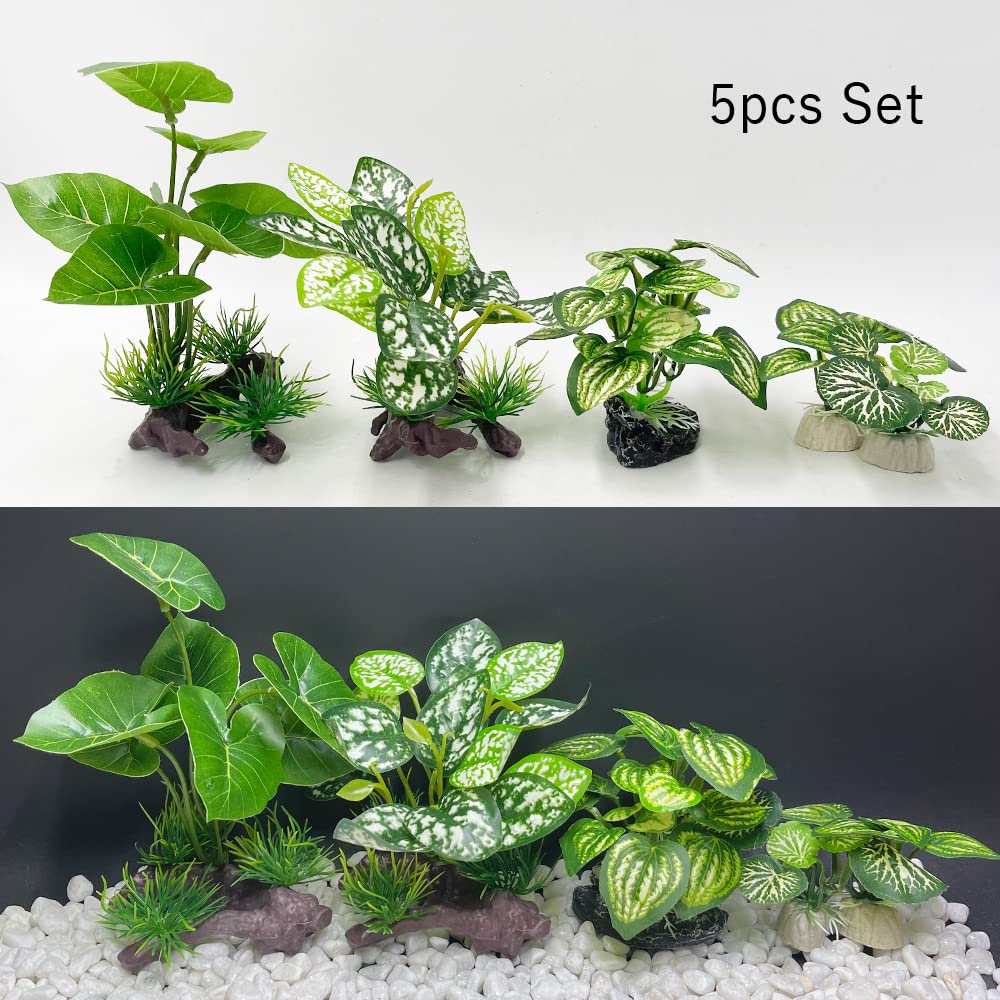Smoothedo-Pets grotte-feuilles: coin repos naturel pour l’aquarium.