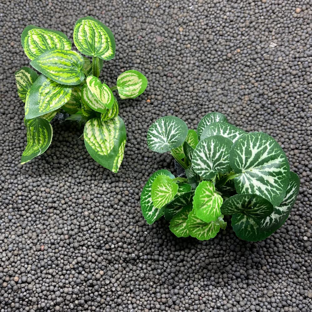 Smoothedo-Pets décor prêt à installer en soie verte, intégration facile.