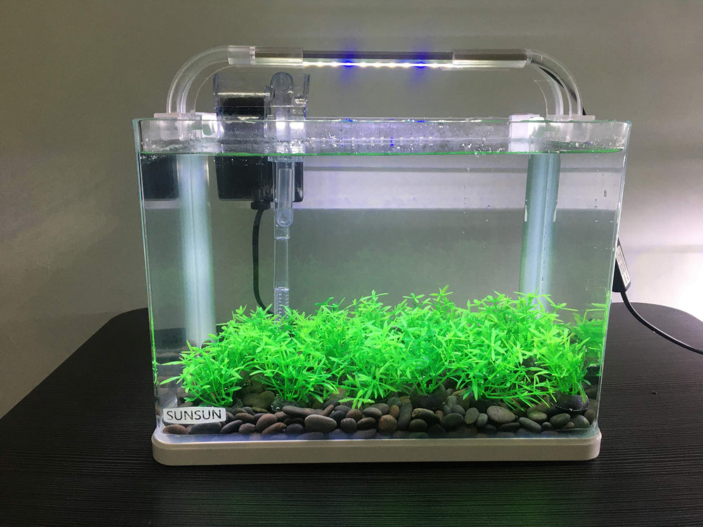 Smoothedo-Pets décoration aquarium mini gazon vert, effet naturel rapide.