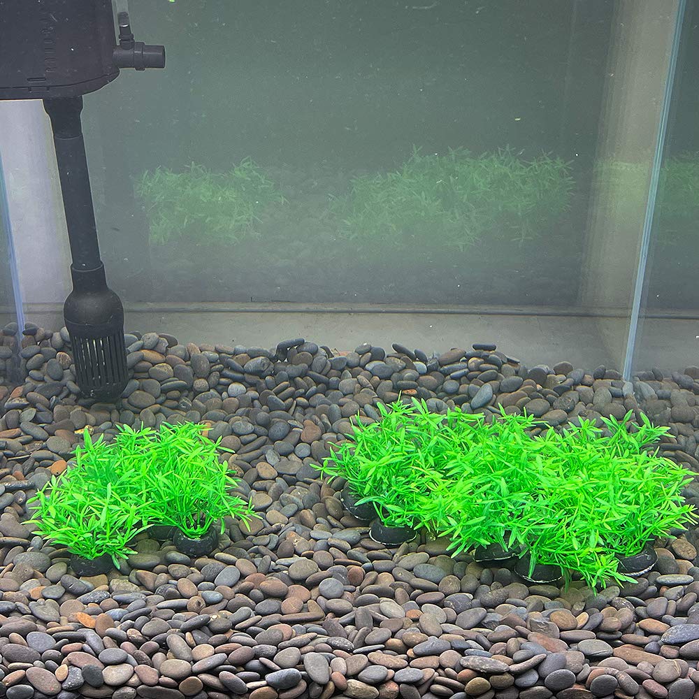 Smoothedo-Pets décoration aquarium mini herbe artificielle verte, cadre vivant facile.