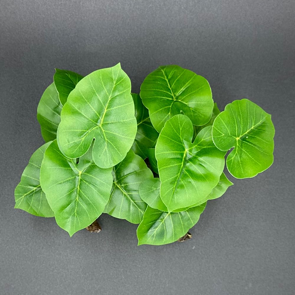 Driftwood artificiel vert Smoothedo-Pets décor naturel