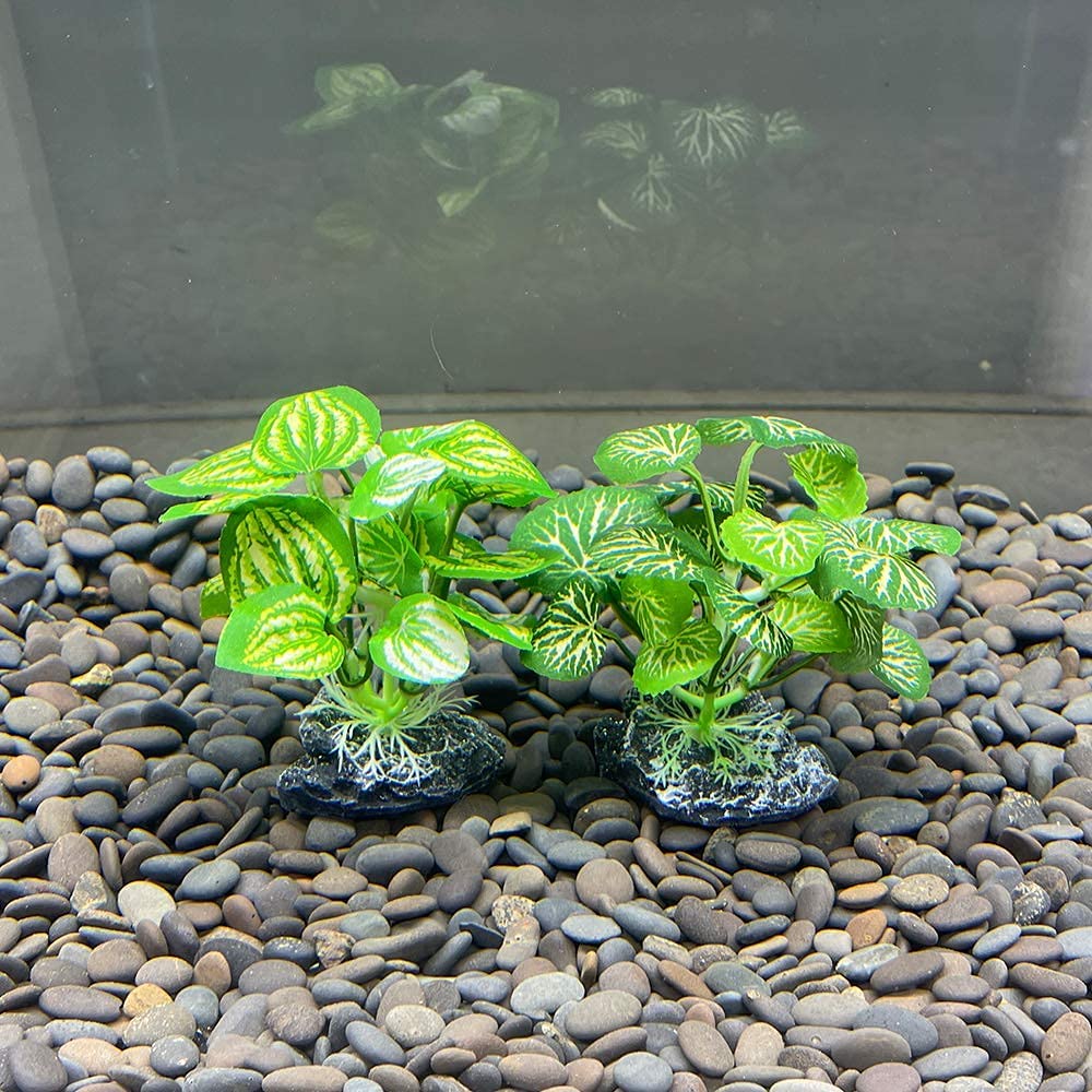 Smoothedo-Pets ensemble de deux plantes en soie verte, aspect naturel.